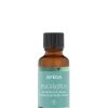 Beauty AVEDA Body Treatment | Aveda Essential Oils - Eucalyptus 30 Ml Brown